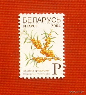 Беларусь. Стандарт. ( 1 марка ) 2004 года. 10-10.