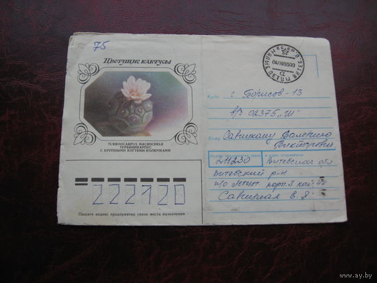 Конверт Цветущие кактусы, 1990 год, штамп Малые летцы, Борисов