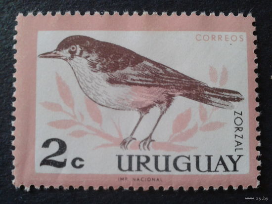 Уругвай 1963 дрозд