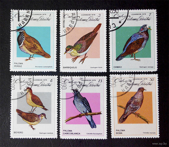 Куба 1979 г. Птицы. Фауна. полная серия из 6 марок #0010-Ф1P2