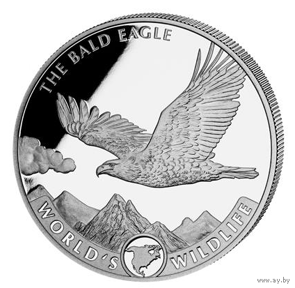 Конго, 20 франков, 2021г. "Белоголовый орел" монета серебро