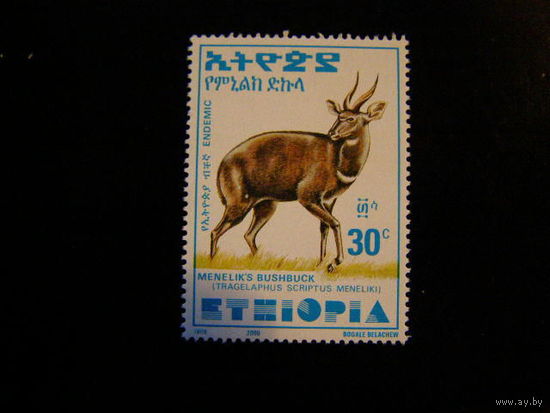 2002 ЭФИОПИЯ Фауна 665