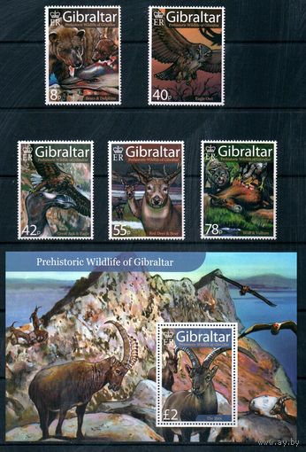 Фауна Гибралтар 2007 год серия из 5 марок и 1 блока (М)