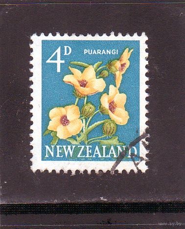 Новая Зеландия.Ми-397. Puarangi, Венецианский маллов (Hibiscus trionum). 1960.