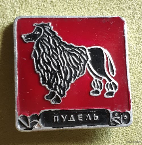 Значок Собака Пудель. СССР