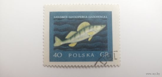 Польша 1958. Рыбы