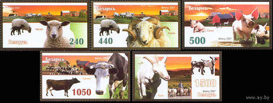 Сельскохозяйственные животные. Домашний скот Беларусь 2007 год (720-724) серия из 5 марок