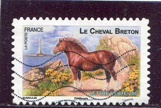 Франция. Бретонская лошадь