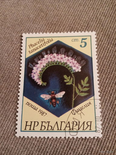 Болгария 1987. Цветы. Фацелия
