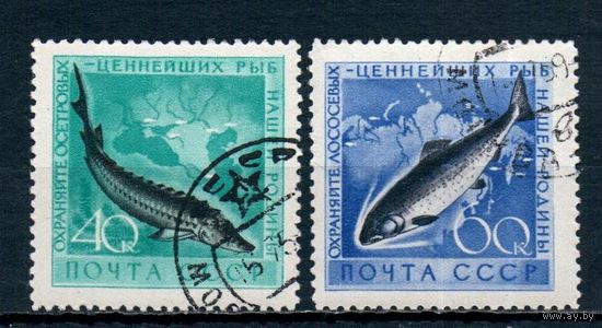 Охрана морской фауны СССР 1959 год серия из 2-х марок