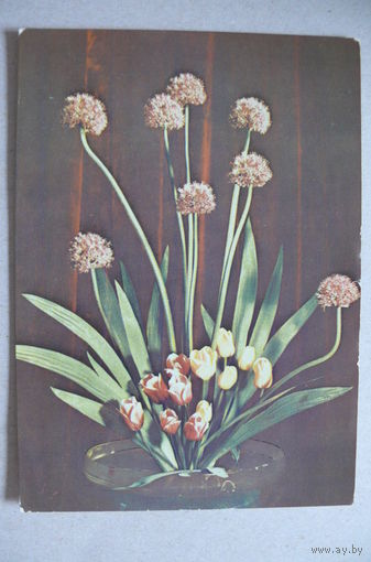 Шпинев А., Цветы; 1973, подписана.