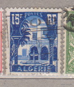 Французские колонии архитектура флора пальмы Алжир 1954-1955 год   лот 12