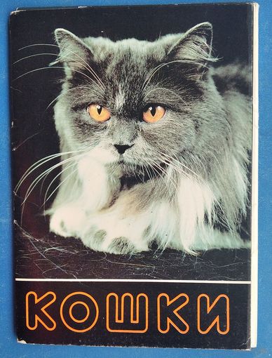 Набор открыток "Кошки" Вып. 2. 1991 г.  17 из 18 откр.