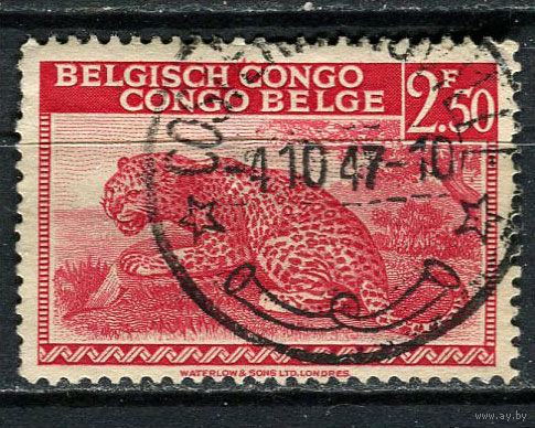 Бельгийское Конго - 1942/1943 - Леопард 2,5Fr - (есть тонкое место) - [Mi.219] - 1 марка. Гашеная.  (Лот 47EV)-T25P1