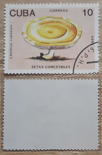 Куба 1989 Съедобные грибы.10 с