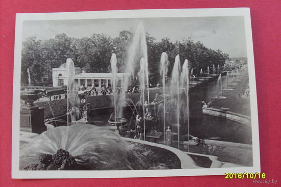 Петродворец Вид на "Аллею фонтанов" 1954 год