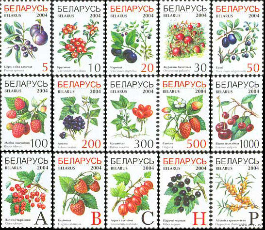 Седьмой стандартный выпуск (9 и 13 февраля) Беларусь 2004 год (538-552) серия из 15 марок