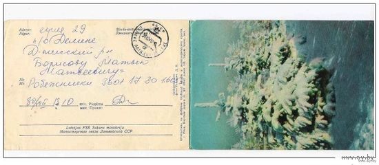 СССР Латвия открытка телеграмма редкий локальный выпуск маленький тираж подписаная с Новым годом
