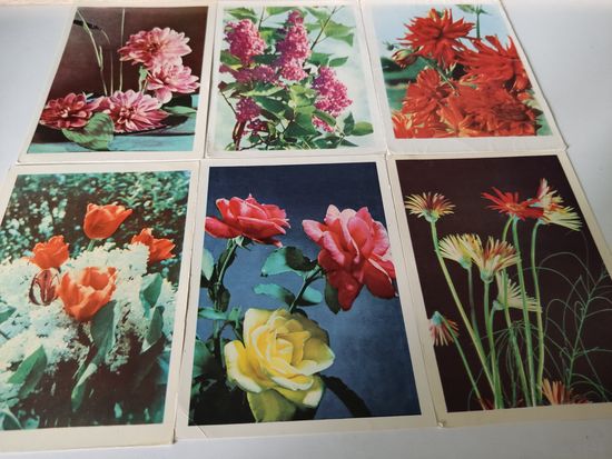 6 открыток фотохудожников Ананьиных (1960-е годы)