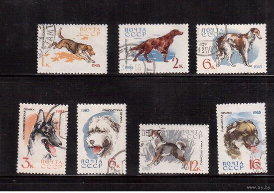 СССР-1965, (Заг.3073-),  гаш., 7 марок, Собаки