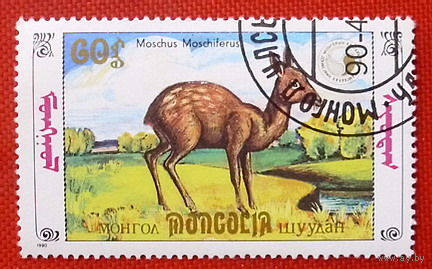 Монголия. Фауна. ( 1 марка ) 1990 года.