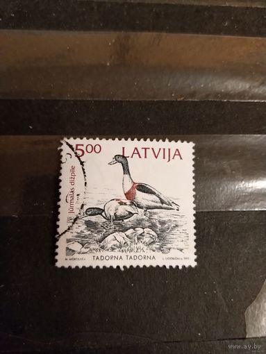 1992 Латвия птицы фауна (2-12)