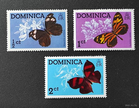 3м бабочки Доминика