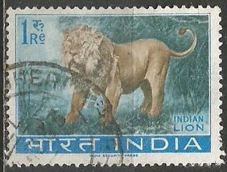 Индия. Индийский лев. 1963г. Mi#362.