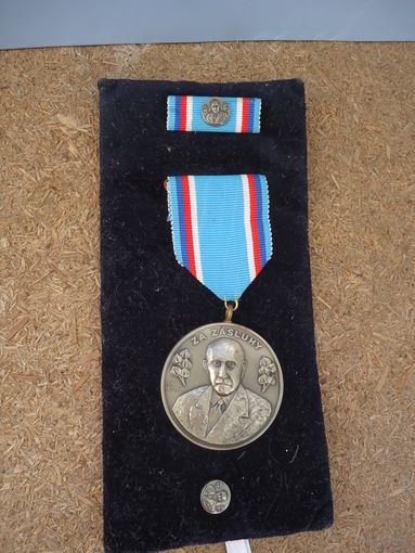 Медаль За заслуги . Чехия