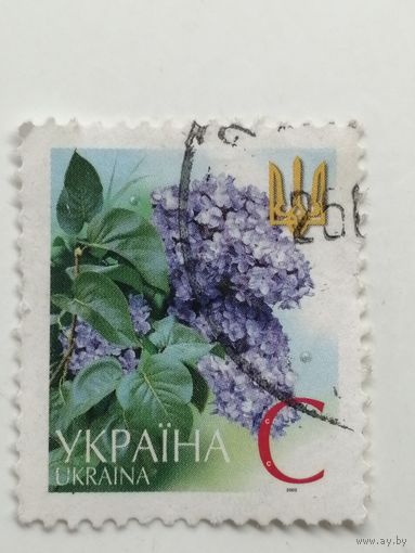 Украина 2003-2006. Шестой выпуск стандартных марок
