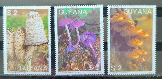 Гайана 1987г. Грибы