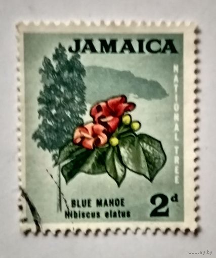 Ямайка.флора.цветы