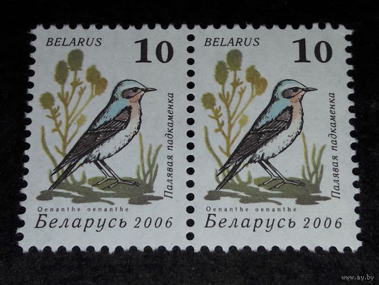Беларусь 2006 Стандарт. Фауна. Птицы. Сцепка 2 чистые марки