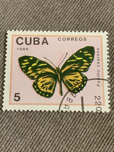 Куба 1989. Papilio Zagreus. Марка из серии