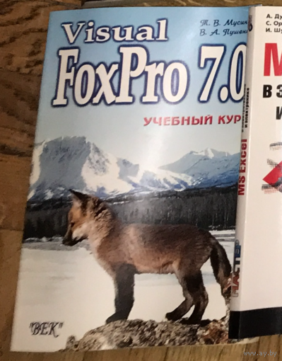 Visual FoxPro 7.0. Учебный курс Пушенко, Мусина