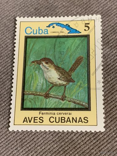 Куба 1983. Птицы. Ferminia cerverai. Марка из серии