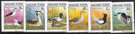 Марки Венгрия 1980  Птицы. Серия из 6 марок