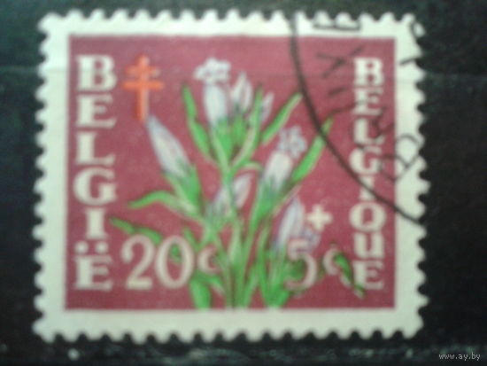 Бельгия 1950 Цветы