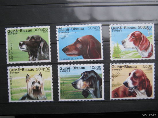 Марки - фауна, собаки, Гвинея-Бисау
