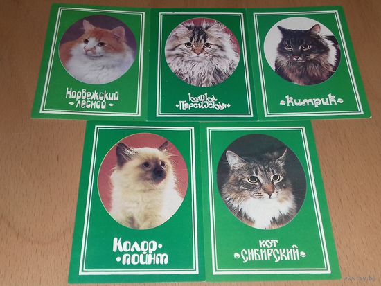Календарики 1991 Кошки. Коты. 5 шт. одним лотом