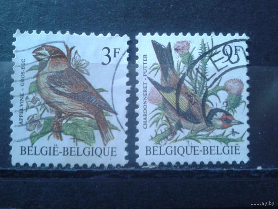Бельгия 1985 Стандарт, птицы Полная серия